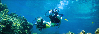 Mergulho nos resorts do Caribe para mergulhadores certificados